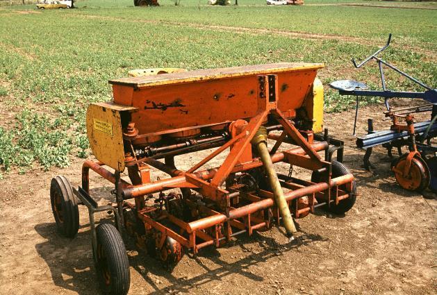 Seedbeds