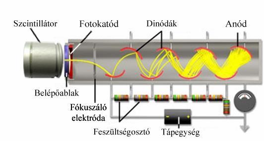 5. fejezet - Gamma-spektrometria szcintillációs detektorral 1. 5.1. A mérés elve, célja A radioizotópok jelentős része a bomlás során gamma fotonokat is kibocsát.