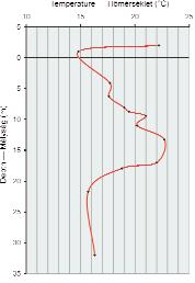 Figure 3. The temperature curve of Lower Egerian section. Borehole, Wind brickyard, Eger 3. ábra. Az alsó-egri rétegek hőmérsékleti görbéje, Eger, Wind téglagyári fúrás sand.
