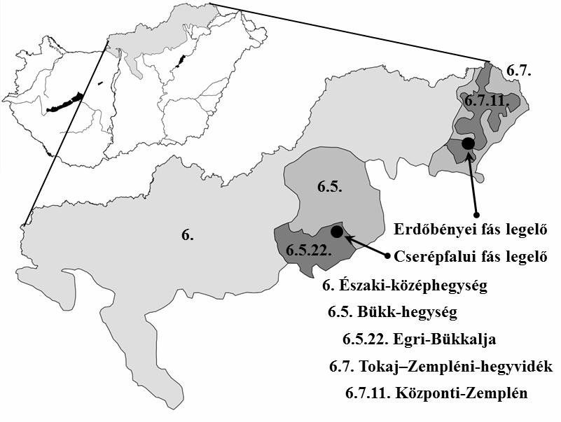 Saláta et al. / AWETH Vol 7.3. (2011) 239 területen 60-70 magyar szürkemarhával átlagosan április-májustól október-novemberig, az időjárás függvényében.