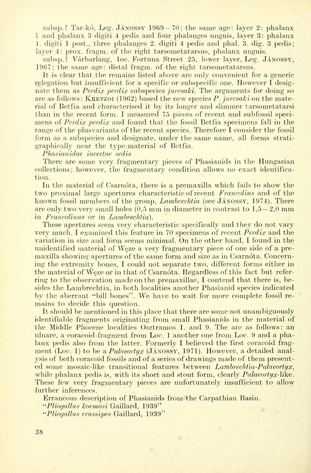 subsp.? Tar-kő, Leg. JÁNOSSY 1969 70; the same age: layer 2: phalanx 1 and phalanx 3 digiti 4 pedis and four phalanges unguis, layer 3: phalanx 1. digiti 1 post., three phalanges 2.
