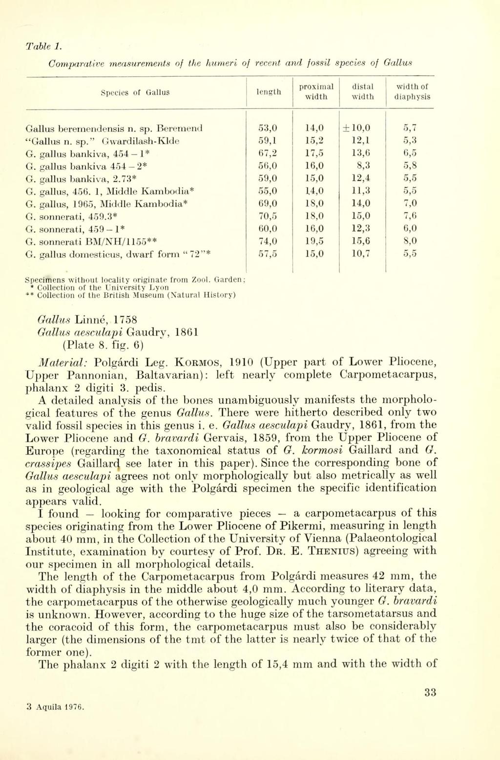 Table 1. Comparative measurements of the humeri of recent and fossil species of Gallus Species of Gallus length proximal width distal width width of diáphysis Gallus berernendensis n. sp. Bercincnd 53,0 14,0 + 10,0 5,7 "Gallus n.
