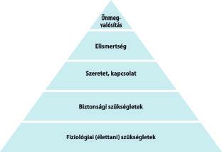 6. modul: A Közigazgatási szervezetek működése A szükségletpiramis alján a fiziológiai szükségletek szerepelnek, például az éhségérzet, a szomjúság, álmosság stb.