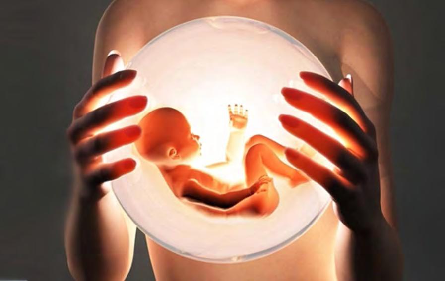 A MAGZAT IMMUNSTÁTUSZA Szemi-allograft??? Antigén prezentáció? + Felismerés?