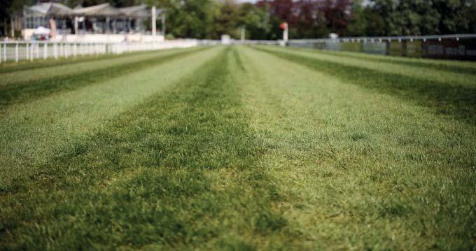 GALOPP Napi l versenyprogram - 2018. május 13., vasárnap Kincsem Park pálya: 11 Kincsem+ pálya: 1 2018.05.13 13:30 Pálya: 11 - Kincsem Park P3 PRÓBAFUTAM Összdíjazás: Szintid : 1:06.0 1 Geo ay 60.