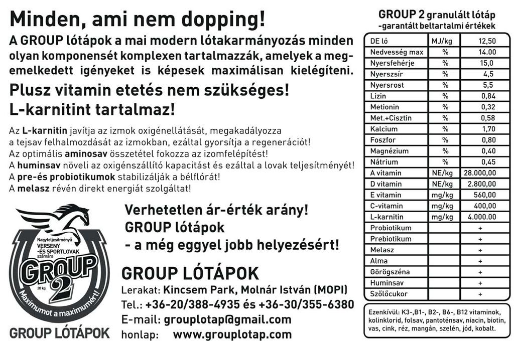 GALOPP 10 Luck Stone 53.0 Timár Zsuzsa 6 stpm Milestone - Lady El Gran Horatio Luro (USA) Friebert Attila Istáll : Vmax 2018.04.22 6 9 36.5 2018.04.01 6 12 37.5 1400 Kincsem Park (j) V. o.