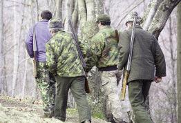 Autorităţile îi avertizează pe amatorii de chilipiruri că cerbii, botezaţi Cornel, nu sunt confecţionaţi din metal şi cântăresc fiecare un sfert de tonă.