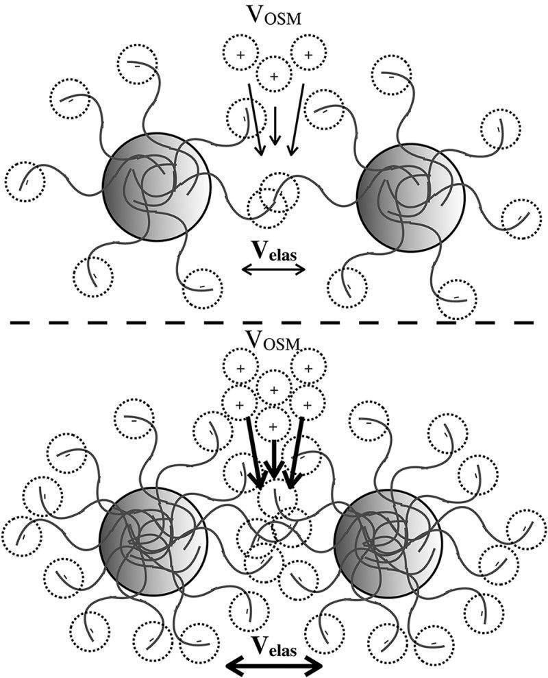Az ozmotikus hatás µ = RT solvent ln c c zárt tömb A két részecskén szorbeálódott kolloidok (makromolekulák, amfifil molekulák) egymás szférájába hatolva oldószert