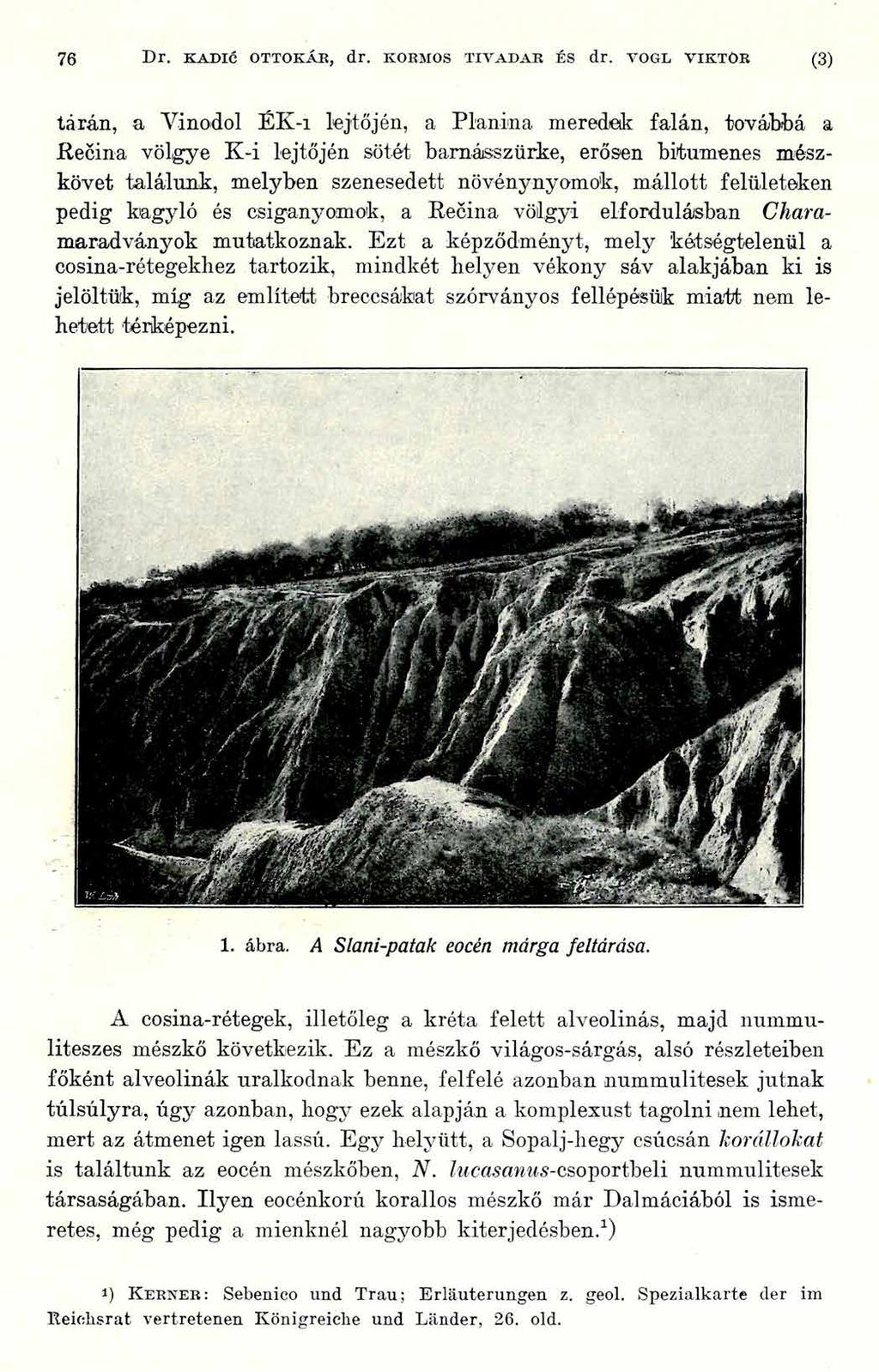 76 Dr. KADIC OTTOKÁR, dr. KORMOS T IV A D A R ÉS dr.