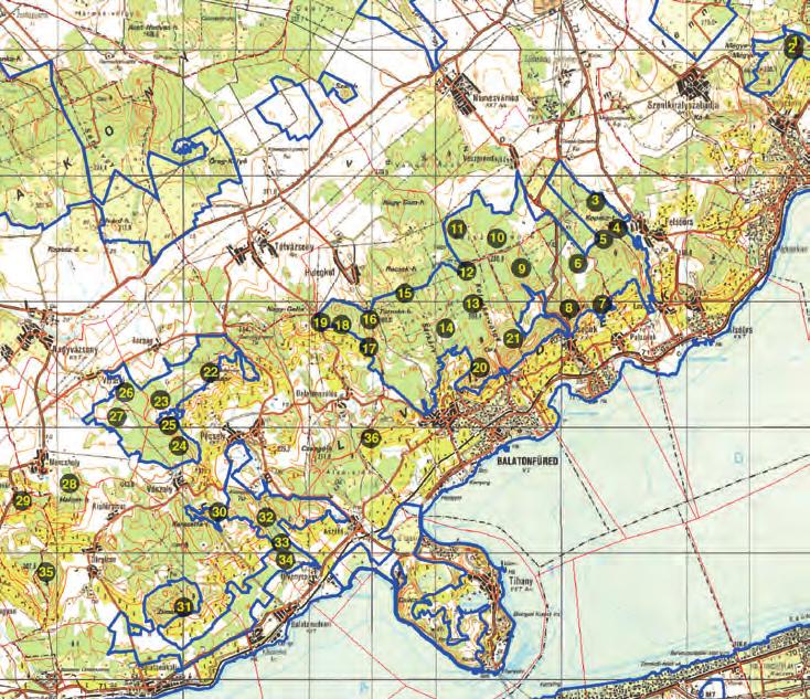 Védett bogarak felmérése a Balaton-felvidéken 173 1. ábra. A vizsgált terület térképe a mintavételi pontokkal (Sinigla et al. 2016) Fig. 1. Map of the study area EREDMÉNYEK A vizsgálatok során összesen 10 családba tartozó 48 védett bogárfajt sikerült kimutatni (1.