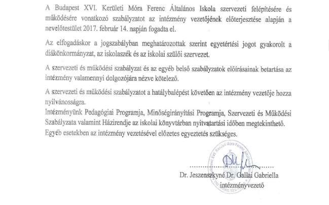 XVII. A szervezeti és működési szabályzat általános rendelkezései, a