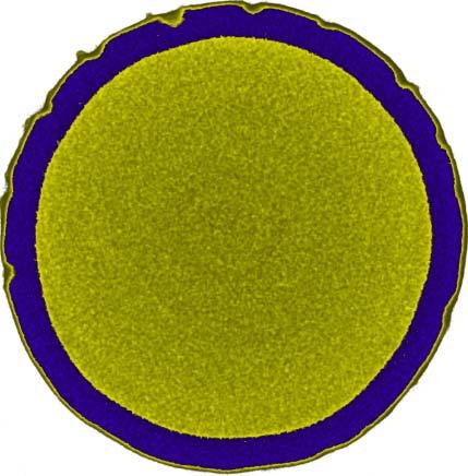 3 mm fénykép 5mm neutronradiográfia röntgenradiográfia 15 mm gyakoriság (rel. egys.