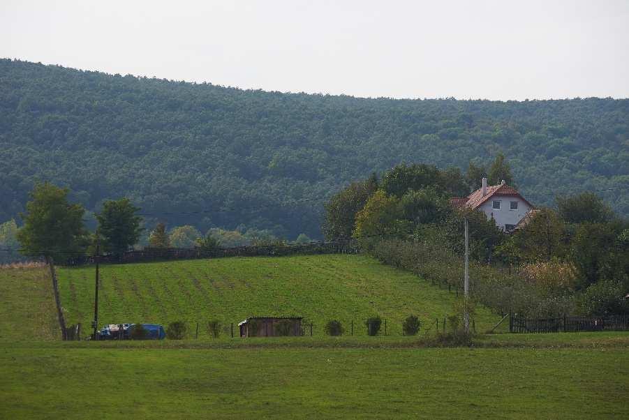 Óbarokon és Nagyegyházán az