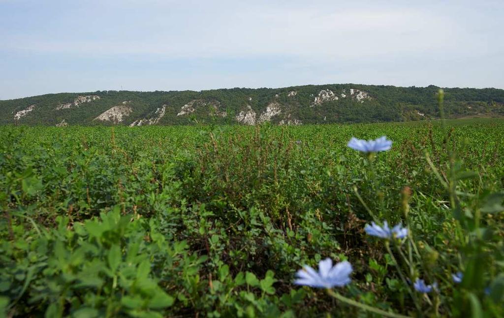 találhatók írásos feljegyzések, pedig a