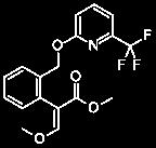 pikoxistrobin CAS-szám 117428-22-5 IUPAC- Benzeneacetic sav, a-(methoxymethylene) -2 - [[[6 - (trifluormetil)-2-pyridinyl] oxi] metil] -, metil-észter, (AE)