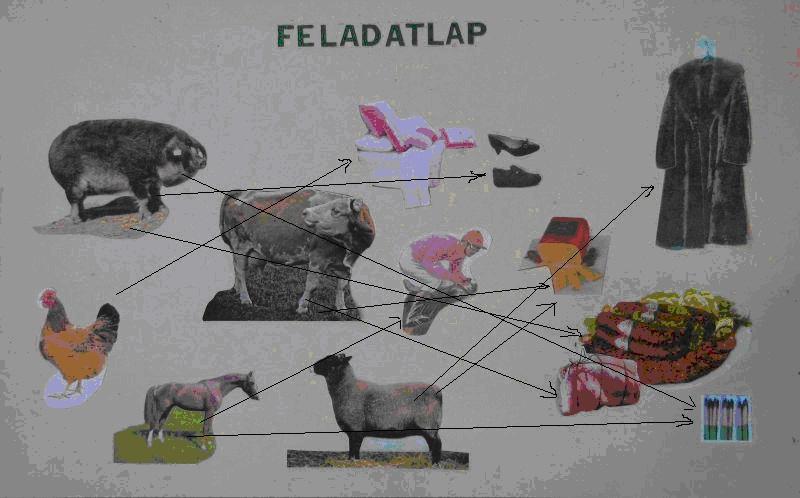 2. szervezési részlet Feladat megoldása, értékelése Feladat megoldása: Elérhető összes pontszám: 20 pont A feladatok megoldása 1.