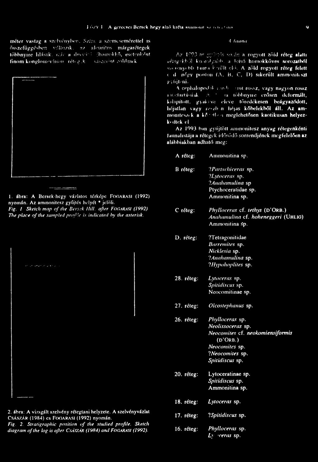 a felső homokköves sorozatból >;, ><enyi!>b kútra hírűit elő, A zöld rogyott réteg felett t ti négy ponton (A, b, C, D) sikerűit ammonitiszt gyűjteni. A cephalopod il i.