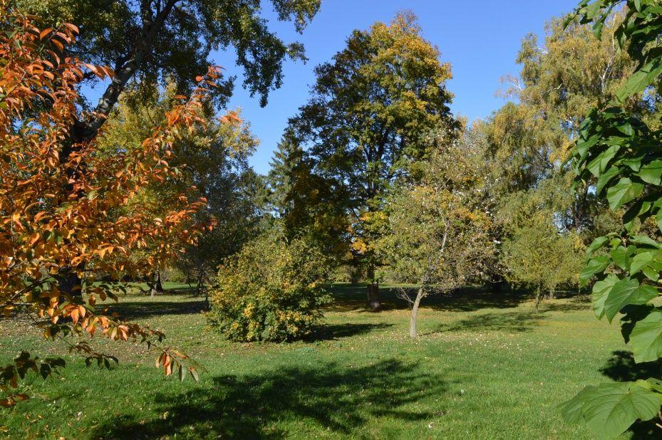 JELENTŐS ZÖLDFELÜLETI TERÜLET A település közparkjainak, sport pályáinak, ifjúsági tábor célú