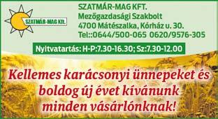 06-30/219-2182 Sérült, totálkáros, hiányos vagy hibás gépjárművek vétele, 2005-ös évjárattól.
