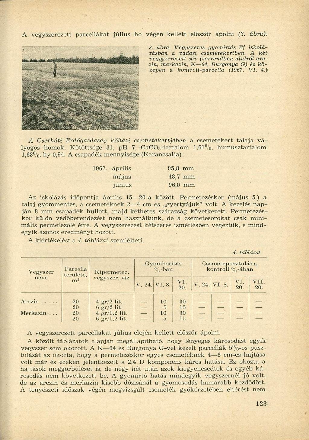 A vegyszerezett parcellákat július hó végén kellett először ápolni (. ábra). t. ábra. es gyomirtás Ef iskolázásban a vadasi csemetekertben.