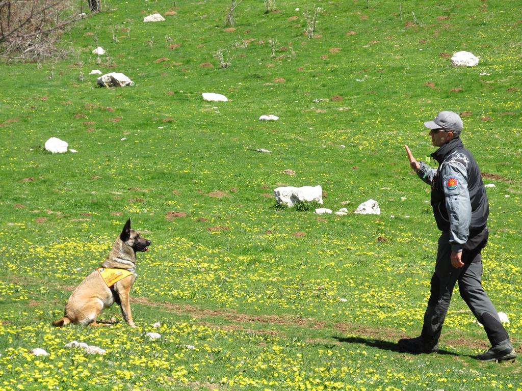 Antipoison Dog Unit (ADU Mérgezés-elleni kutyás egység) A rendszeres és rendkívüli járőrözések probléma