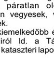 Helyi