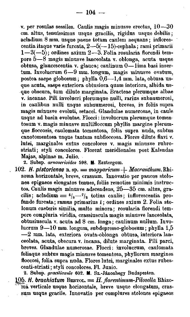 104 v. per rosulas sessiles. Caulis magis minusve erectus, 10 30 cm. altus, tenuissimus usque gracilis, rigidus usque debilis; acladium 8 mm.