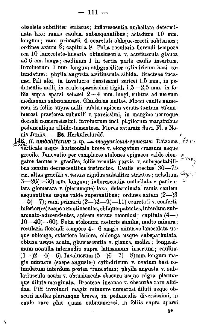 111 obsolete subtiliter striatus; inflorescentia umbellata determinata laxa ramis caulem subaequantibus; aeladium 10 mm.