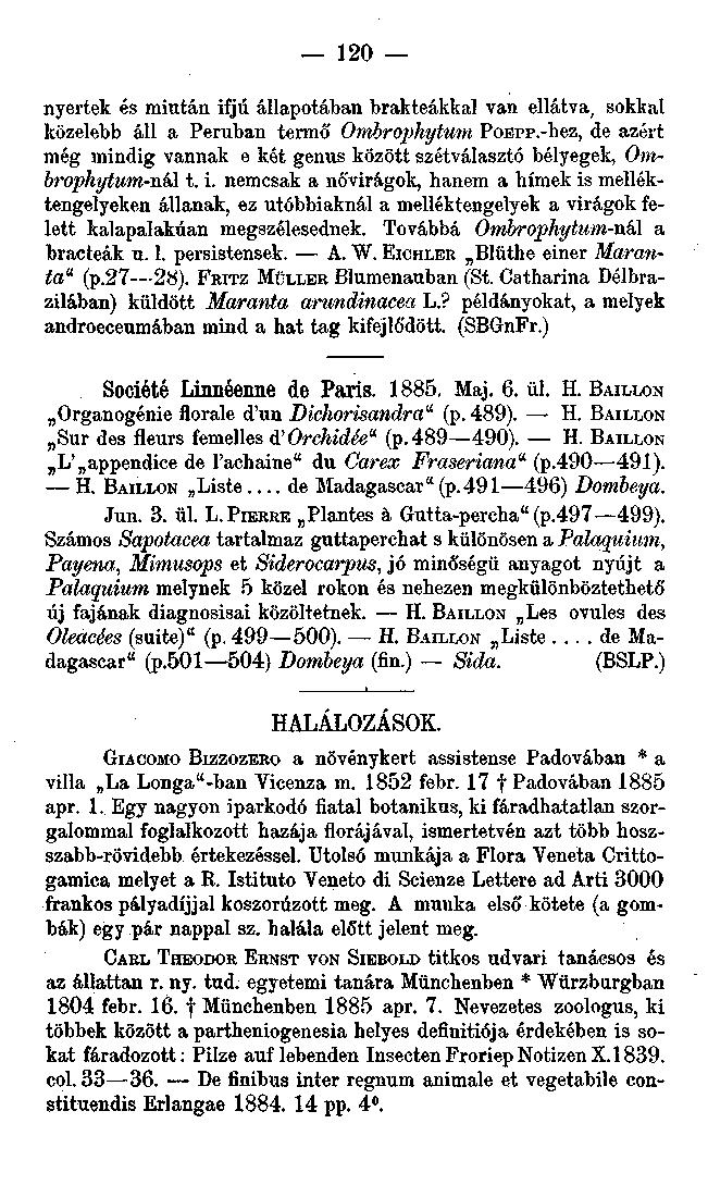 120 nyertek és miután ifjú állapotában brakteákkal van ellátva, sokkal közelebb áll a Peruban termő Ombrophytum PoErp.