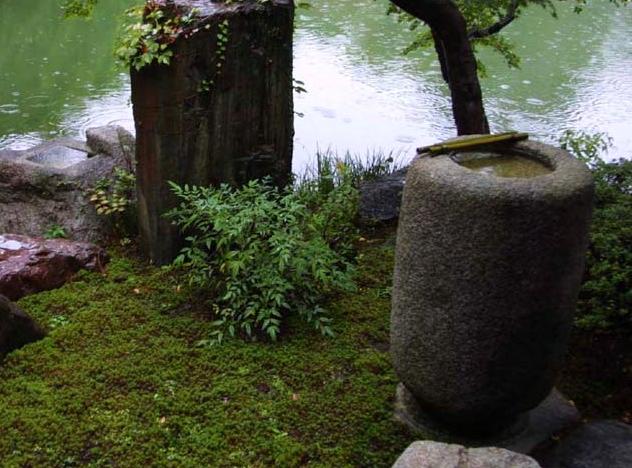 Chōzubachi a Shusui-tei kertben a teaház előtt.
