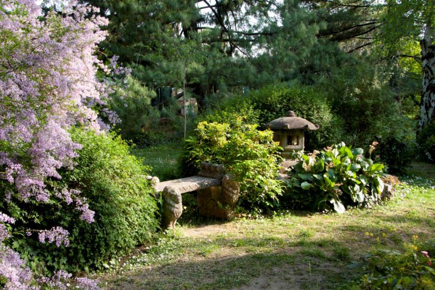 Fenti fajtákat 2015 őszén egy fudzsi cseresznye (Prunus incisa Kojo- No-Mai ) telepítése követte. Ez a fajta alacsony növekedésű, bővirágú és Japánban igen elterjedt bonszájként való alkalmazása.