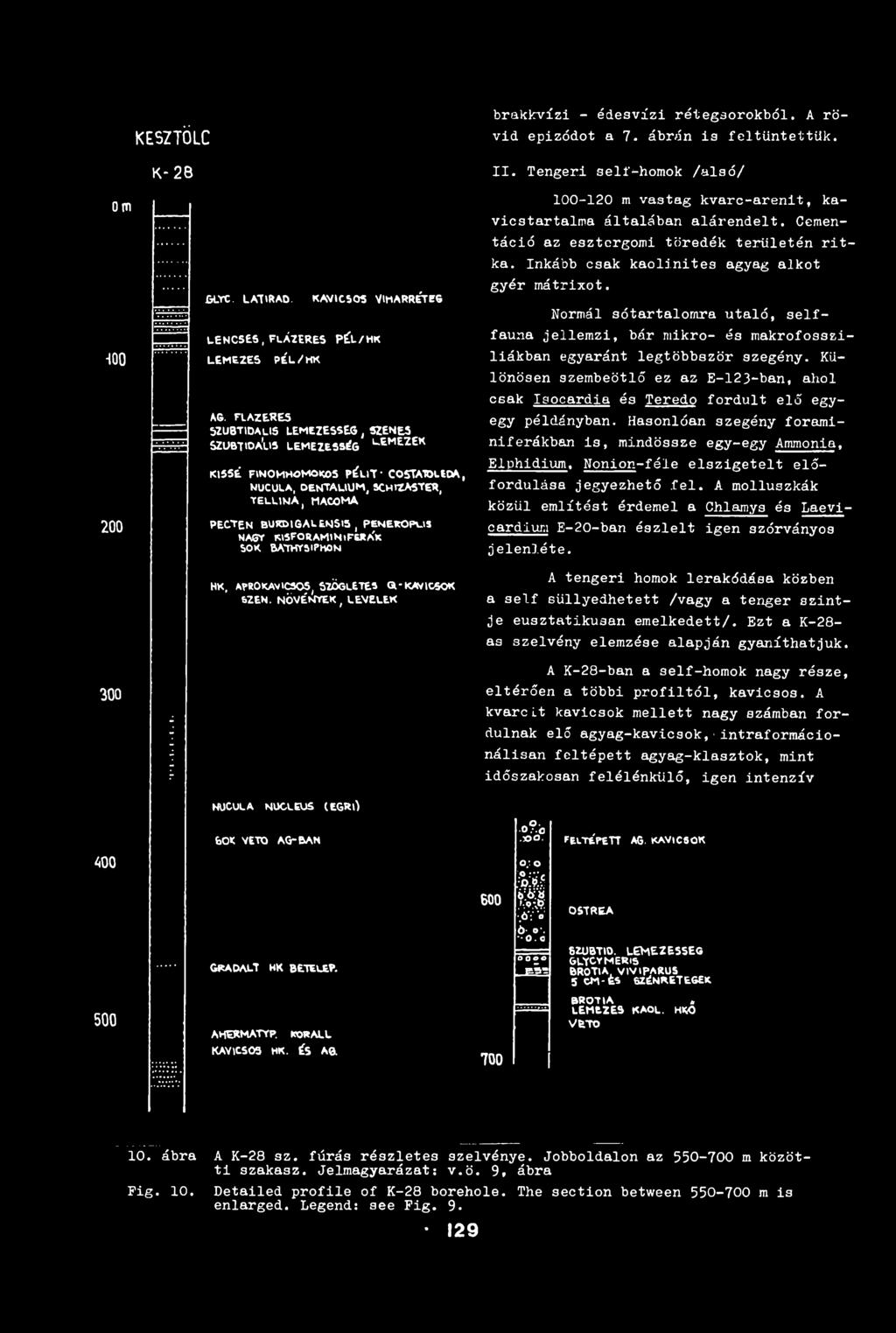 FlAZERES 5ZU8TIDALIS LEMEZESSEG, SZENES Szubtioa'us lemezesség L-EME7eK KI5SÉ FINOMHOMOKOS P Í U T ' CO5TA1OLS0A, NUCULA,