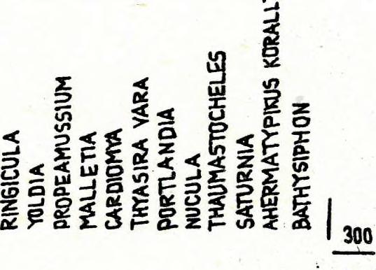 fáciesegység/ a K-27 és K-28- ban eléri a 10 m-t, míg az E-123-ban a csaknem 200 m-t. A lagunáris tagozat tehát K felé kivékonyodik, míg a batiális Kiscelli Agyag ugyanezen irányban kivastagodik.