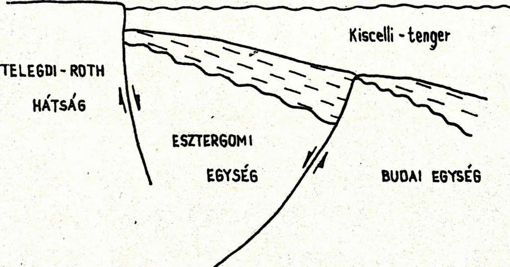 N T E L E 6 D I-R 0 T H HÁTSÁG BUDAI EGY5EG FELSŐ KISCELUEN 5.