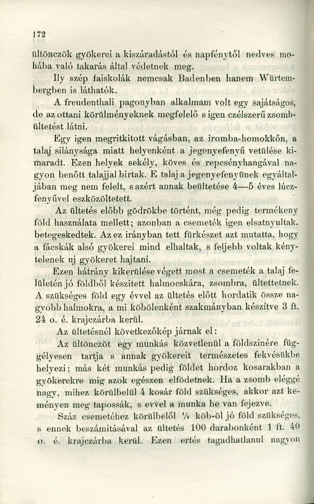 ültönczök gyökerei a kiszáradástól és napfénytől nedves mohába való takarás által védetnek meg. Ily szép faiskolák nemcsak Badenben hanem Würtembergben is láthatók.