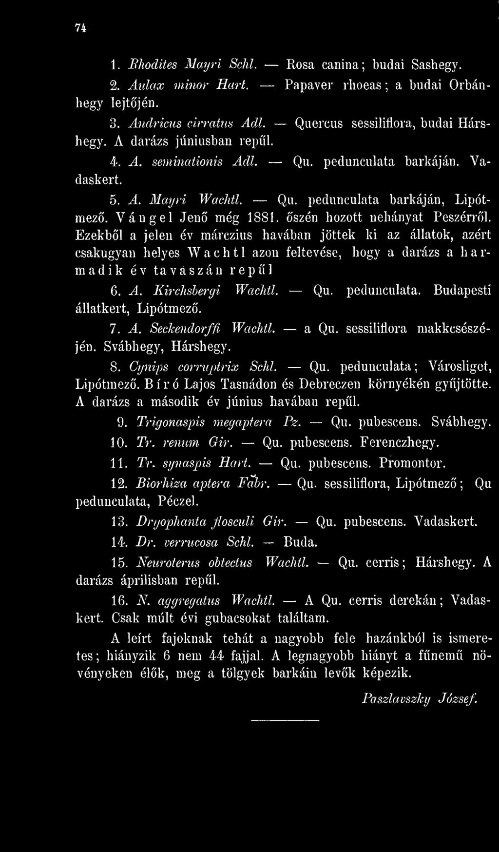 Ezekbl a jelen év márczius havában jöttek ki az állatok, azért csakugyan helyes Wachtl azon feltevése, hogy a darázs a harmadik év tavaszán repül állatkert, 6. A. Kirchsbergi Wachtl. Qu. pedunculata.