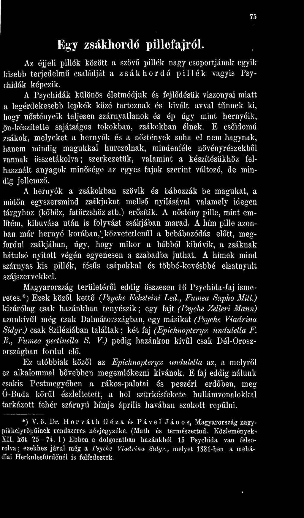 ön-készítette sajátságos tokokban, zsákokban élnek.
