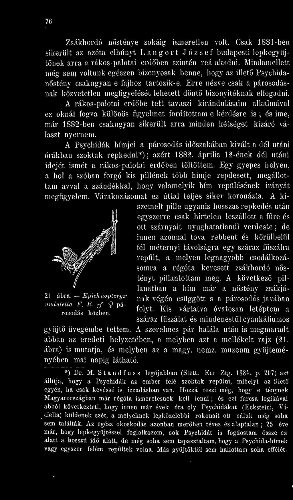 Erre nézve csak a párosodásnak közvetetlen megfigyelését lehetett dönt bizonyítéknak elfogadni.