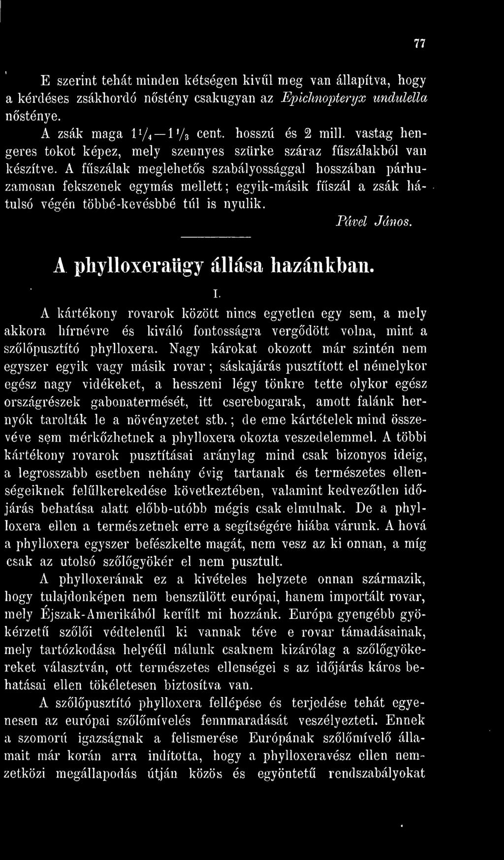 A fszálak meglehets szabályossággal hosszában párhuzamosan fekszenek egymás mellett ; egyik-másik fszál a zsák hátulsó végén többó-kevésbbé túl is nyúlik. Pável János.