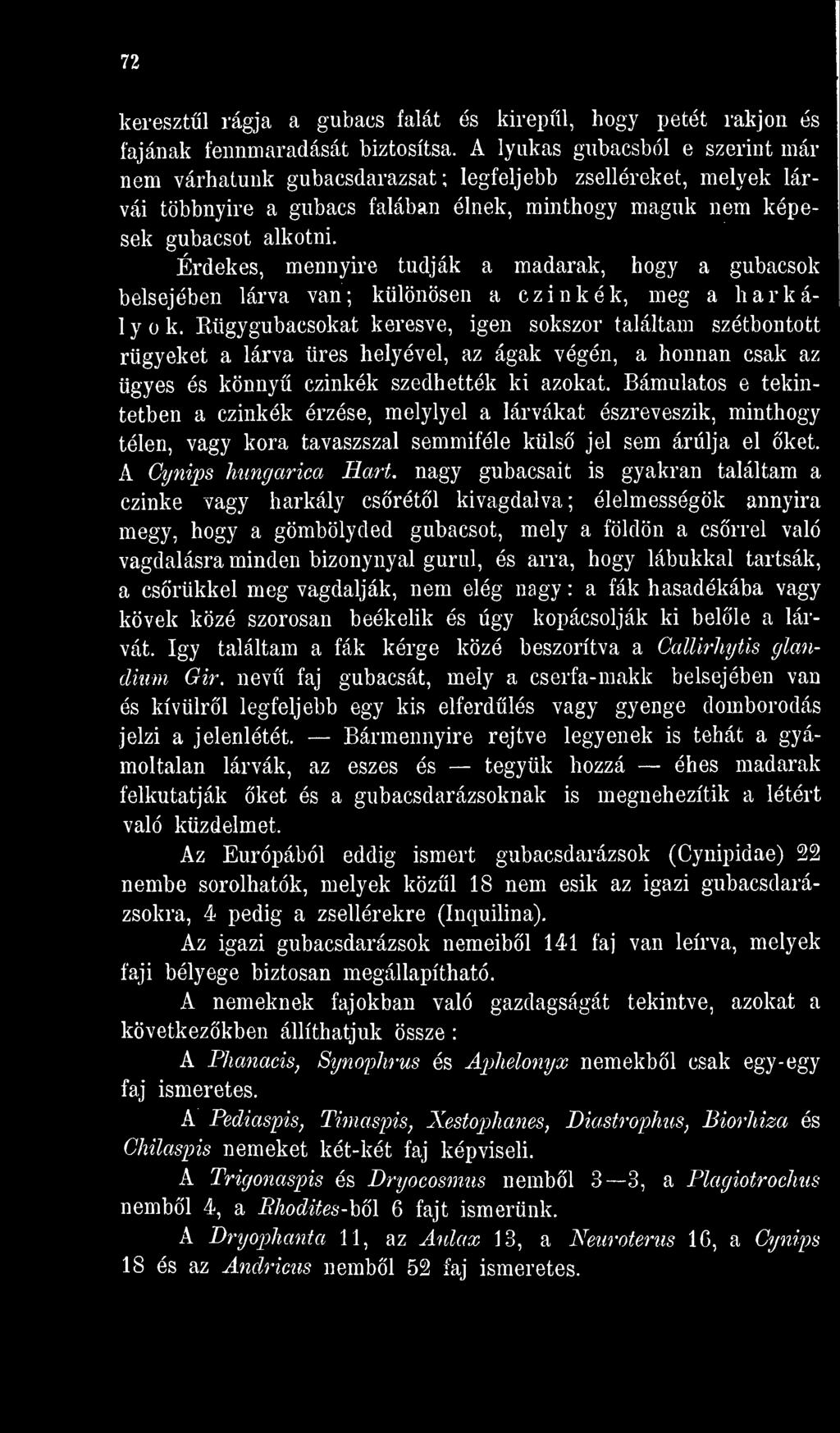 Bámulatos e tekintetben a czinkék érzése, melylyel a lárvákat észreveszik, minthogy télen, vagy kora tavaszszal semmiféle küls jel sem árulja el ket. A Cynips hungarica Hart.