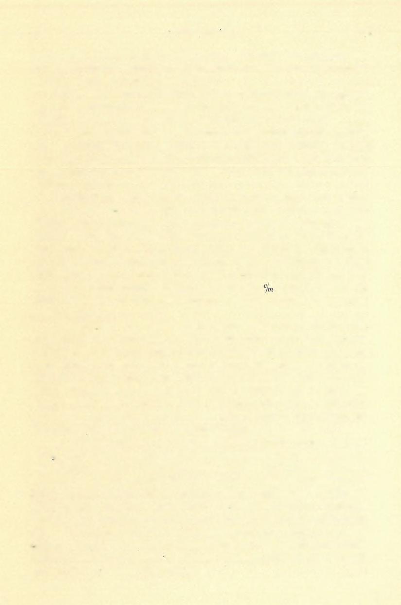 160 LIFFA AURÉL (8) hogy felülete összerepedezett, tehát még csak most van mállófélben, s nincs még abban a stádiumban, hogy széjjelrepedezett részecskéi, finoman széjjelporladozva, talajt