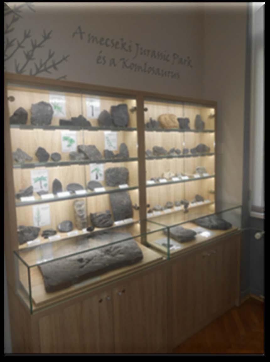 intézmények