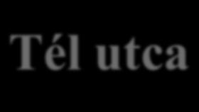 VIS MAIOR