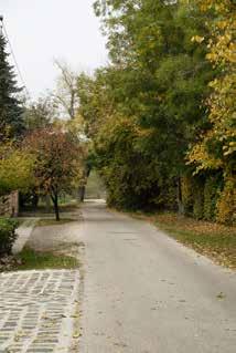 gondosságát, lakókörnyezetükre való igényességét