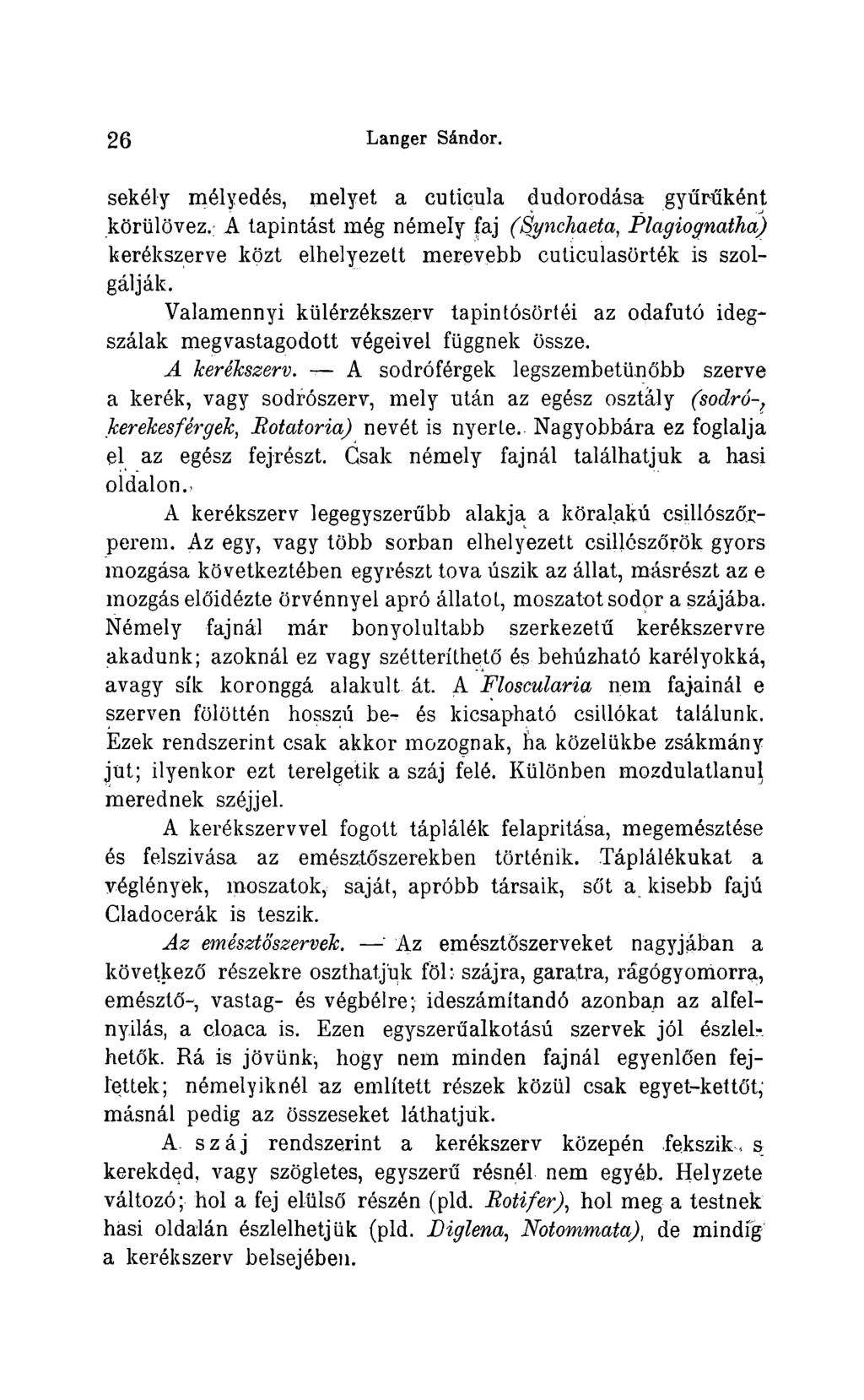2 6 Langer Sándor. sekély mélyedés, melyet a cutícula dudorodása gyünüként körülövez.