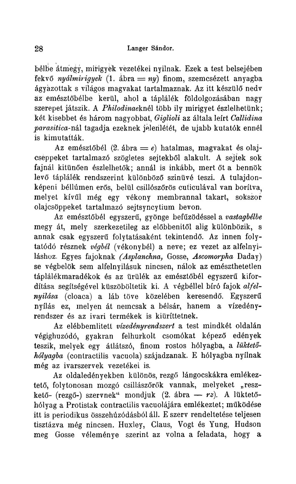 2 8 Langer Sándor. béltie átmegy, mitigyék vezetékei nyilnak. Ezek a test belsejében fekvó nyálmirigyék (1. ábra = ny) finom, szemcsézett anyagba ágyázottak s világos magvakat lartalmaznak.