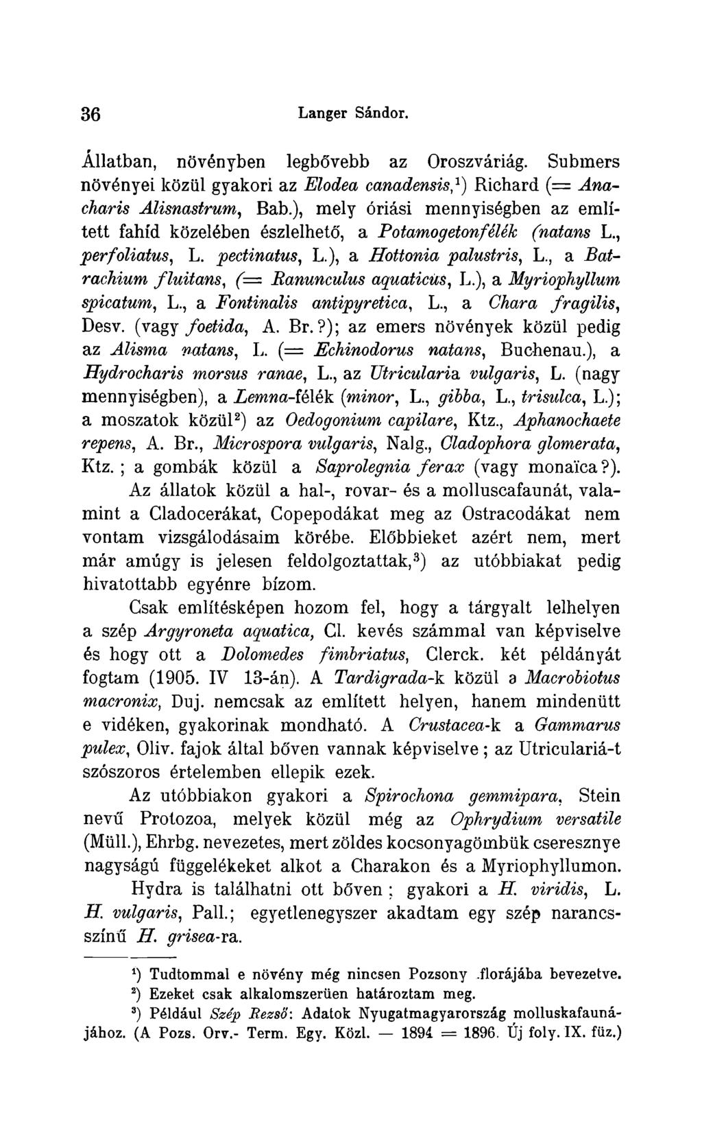 36 Langer Sändor. Ällatban, növ6nyben legbövebb az Oroszväriäg. Submers növ6nyei közül gyakori az Elodea canadensis,*) Richard ( = Anacharis Alisnastrum, Bab.