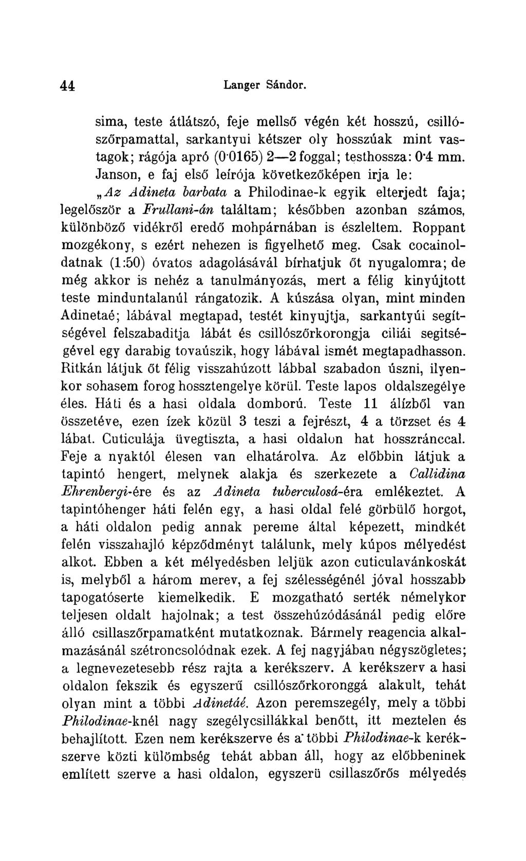 4 4 Langer Sándor. sima, teste átlátszó, feje mellsó végén két hosszú, csillószórpamattal, sarkantyui kétszer oly hosszúak mint vastagok; rágója apró (0 0165) 2 2 foggal; testhossza: 0*4 mm.