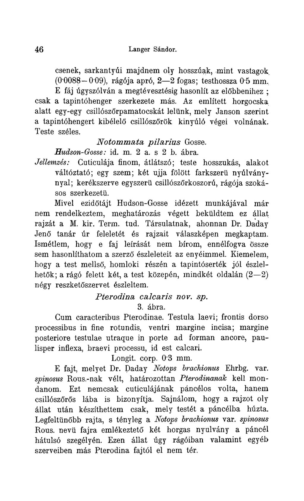 4 6 Langer Sándor.