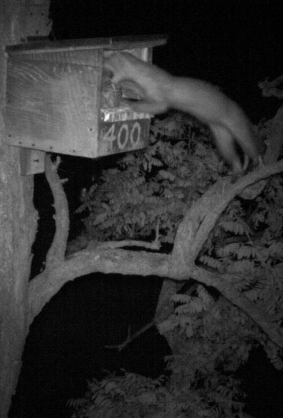 riasztási módszerek ex situ tesztelése és in situ